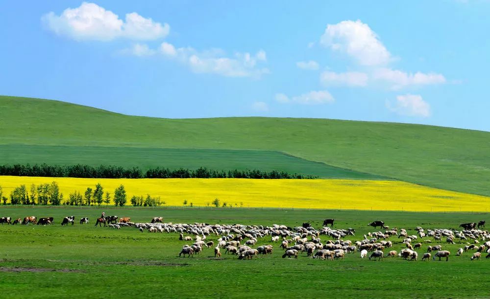 内蒙古，致敬领导与朋友们的盛会