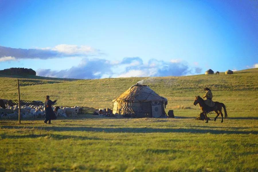 内蒙古,致敬领导与朋友们的盛会