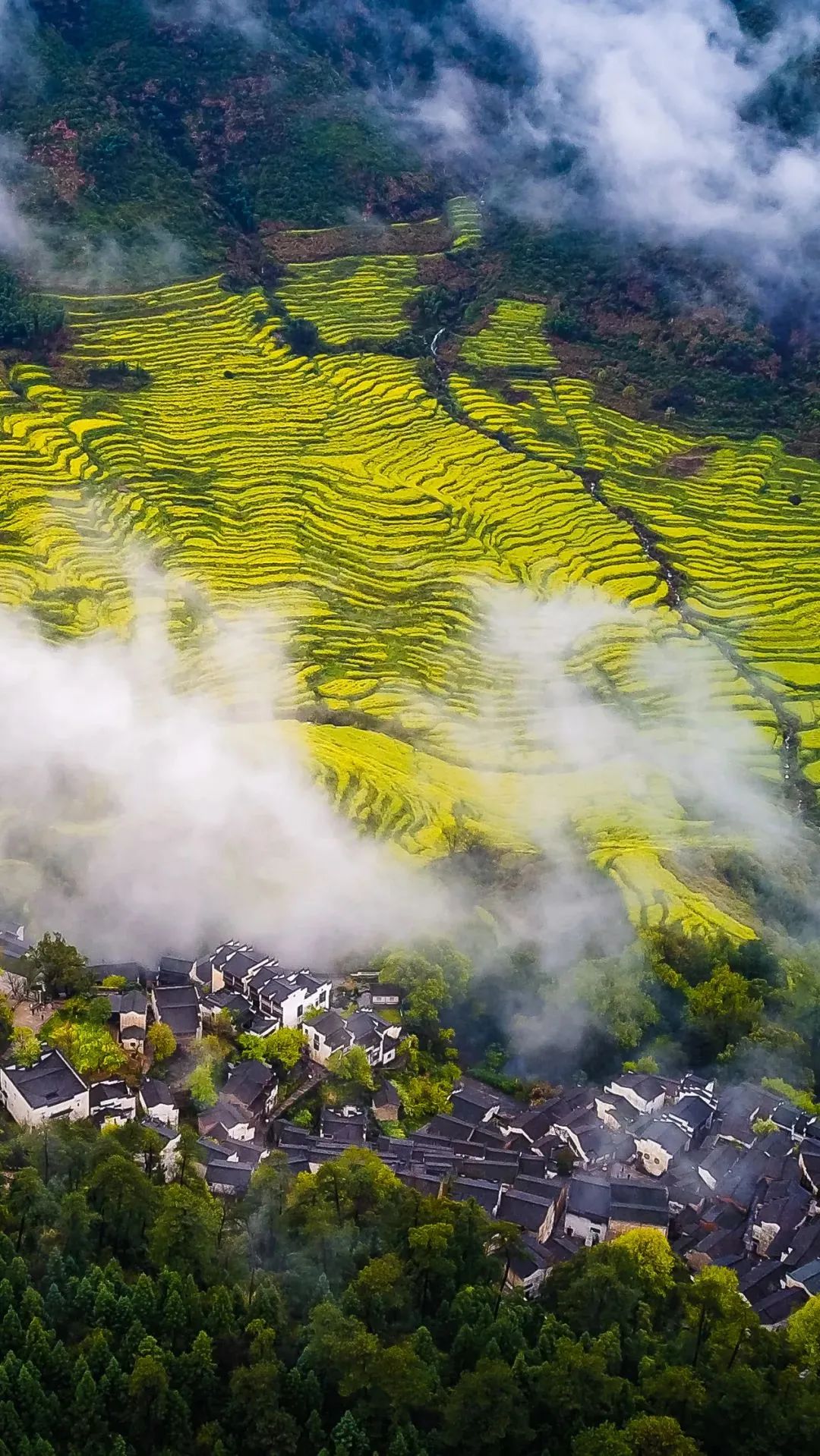 江西深巷寻宝,江西小巷深处,邂逅一家秘境小店