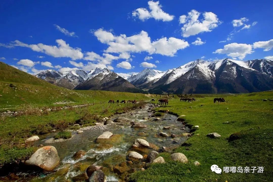 新疆，秘境之美与无限商机