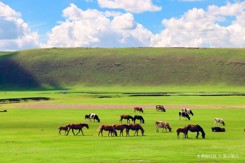 呼伦贝尔，科技之光照亮革新之旅